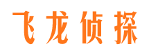 鼎湖市侦探调查公司